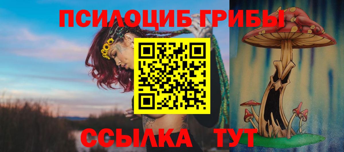 Семёнов  Псилоцибиновые грибы мухоморы  где продают наркотики  Псилоцибиновые грибы MAGIC MUSHROOMS  Вход с VPN 