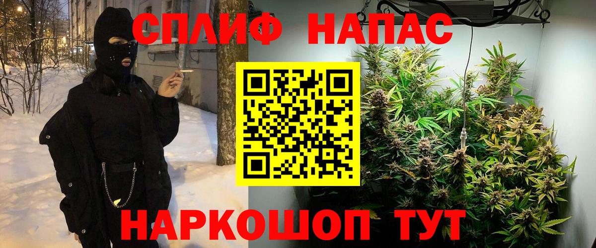 Каннабис планчик  Бошки марихуана сатива  Вход с VPN  Шишки марихуана конопля  Семёнов 